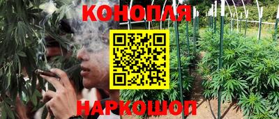 гашиш Славгород