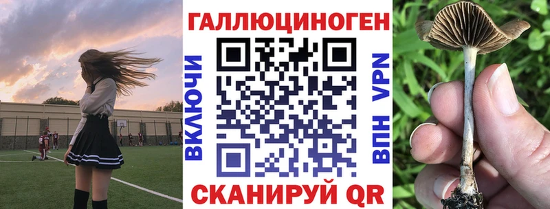 где найти   Якутск  Галлюциногенные грибы Magic Shrooms 