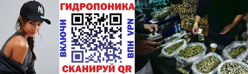 Шишки марихуана конопля Якутск